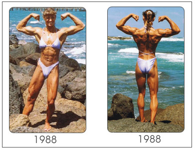 Laura - 1988